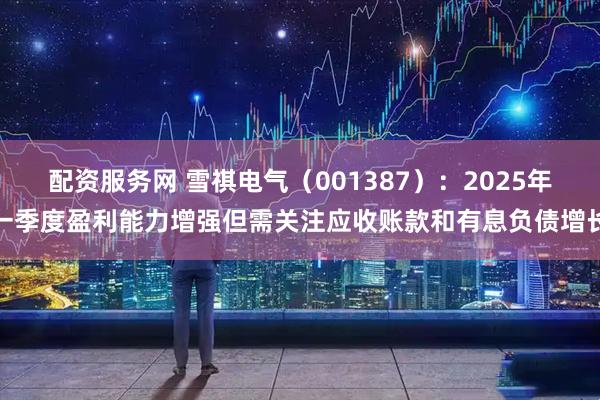 配资服务网 雪祺电气（001387）：2025年一季度盈利能力增强但需关注应收账款和有息负债增长