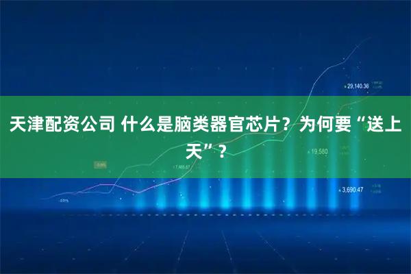 天津配资公司 什么是脑类器官芯片？为何要“送上天”？