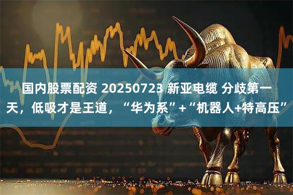 国内股票配资 20250723 新亚电缆 分歧第一天，低吸才是王道，“华为系”+“机器人+特高压”