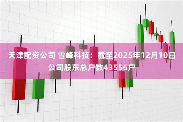 天津配资公司 雪峰科技：截至2025年12月10日公司股东总户数43556户