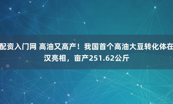 配资入门网 高油又高产！我国首个高油大豆转化体在汉亮相，亩产251.62公斤